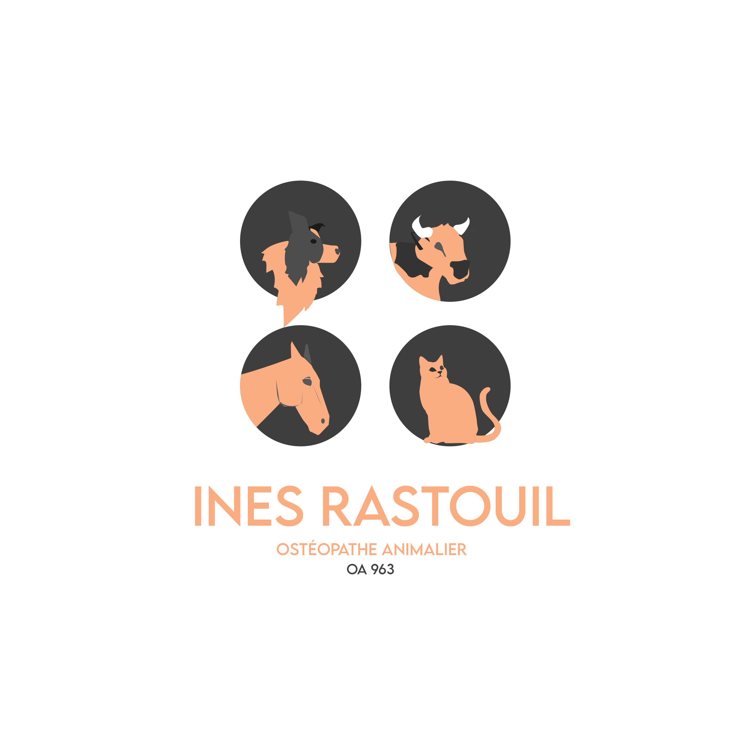 Ostéopathe animalier Inès Rastouil